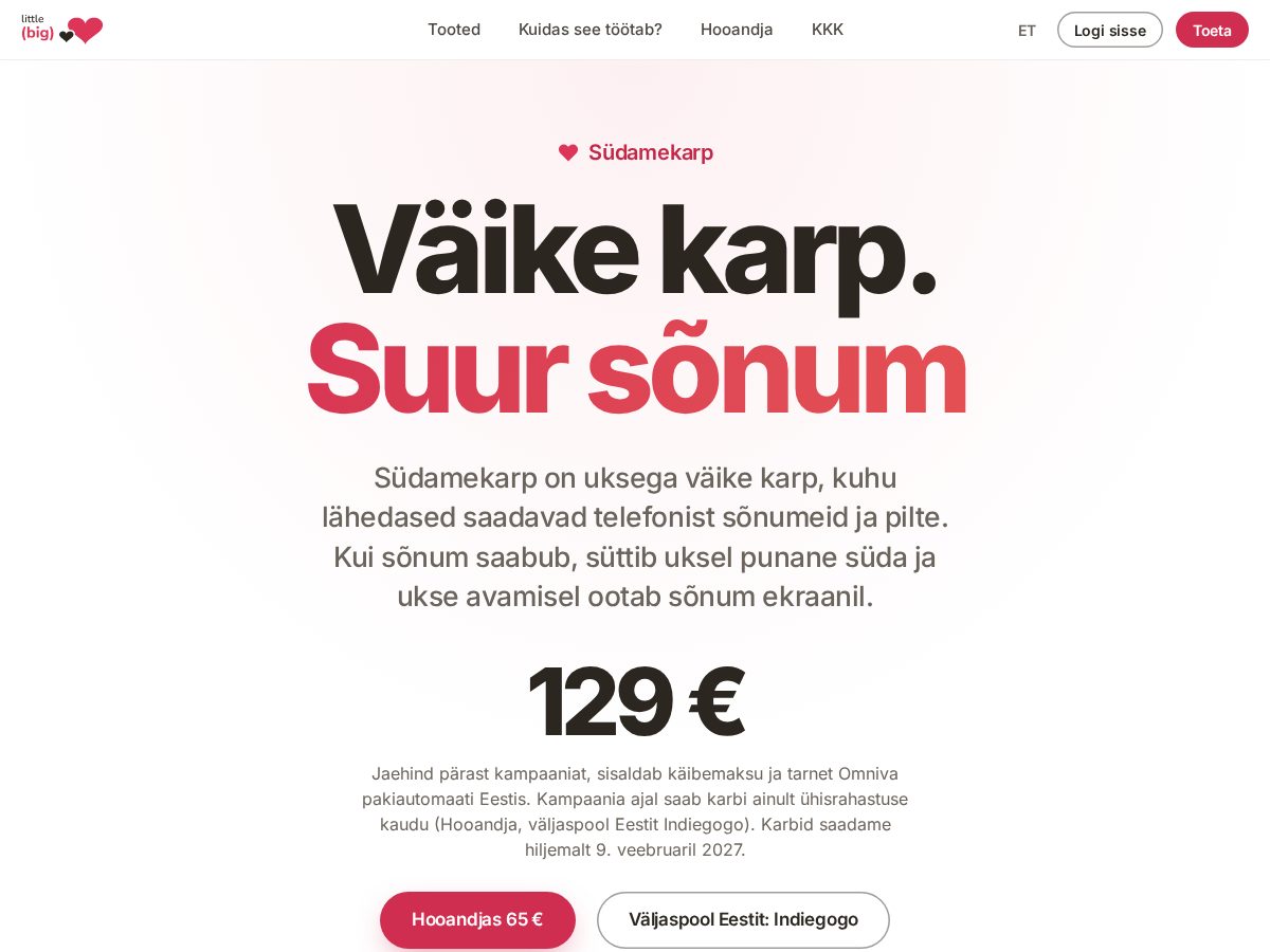 Landing-page snapshot of littlebigheart.store