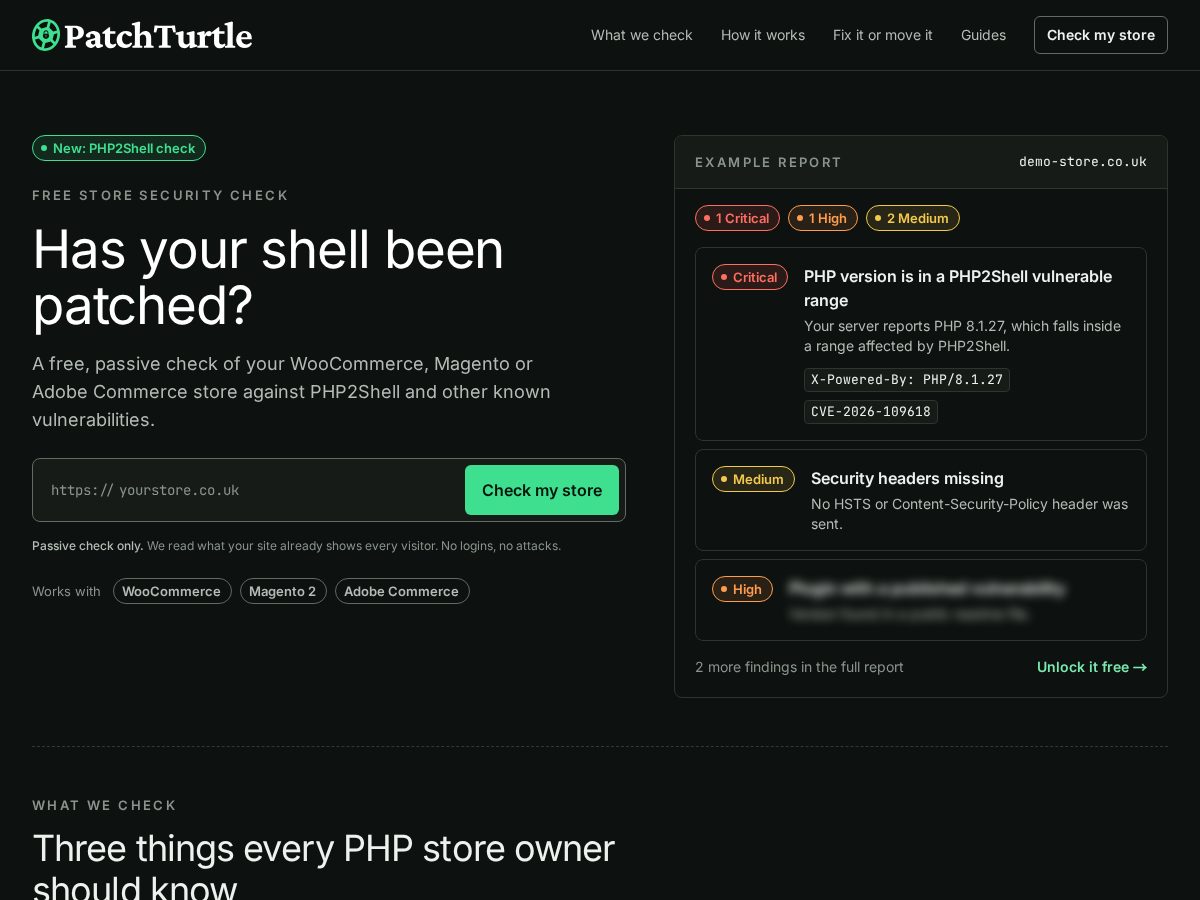 Landing-page snapshot of patchturtle.com