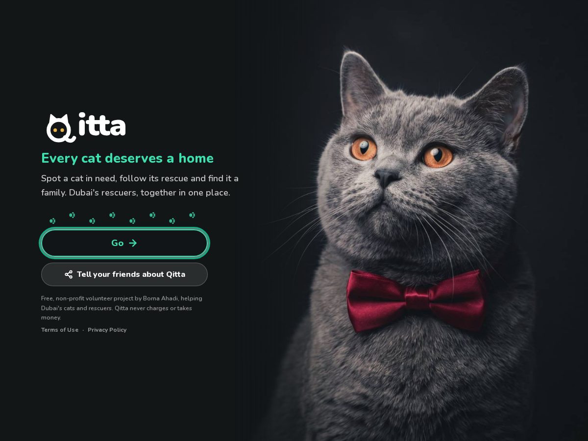 Landing-page snapshot of qitta.org