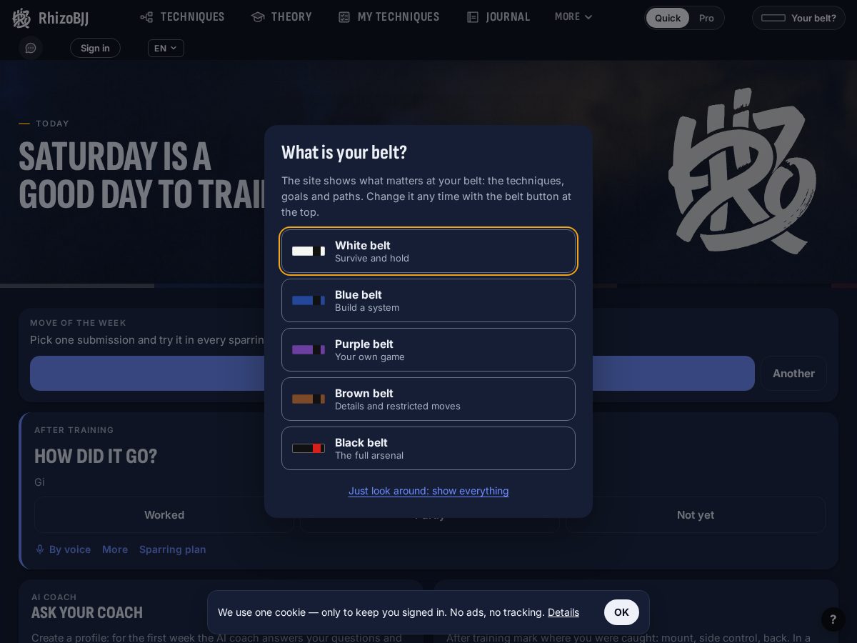 Landing-page snapshot of rhizobjj.com