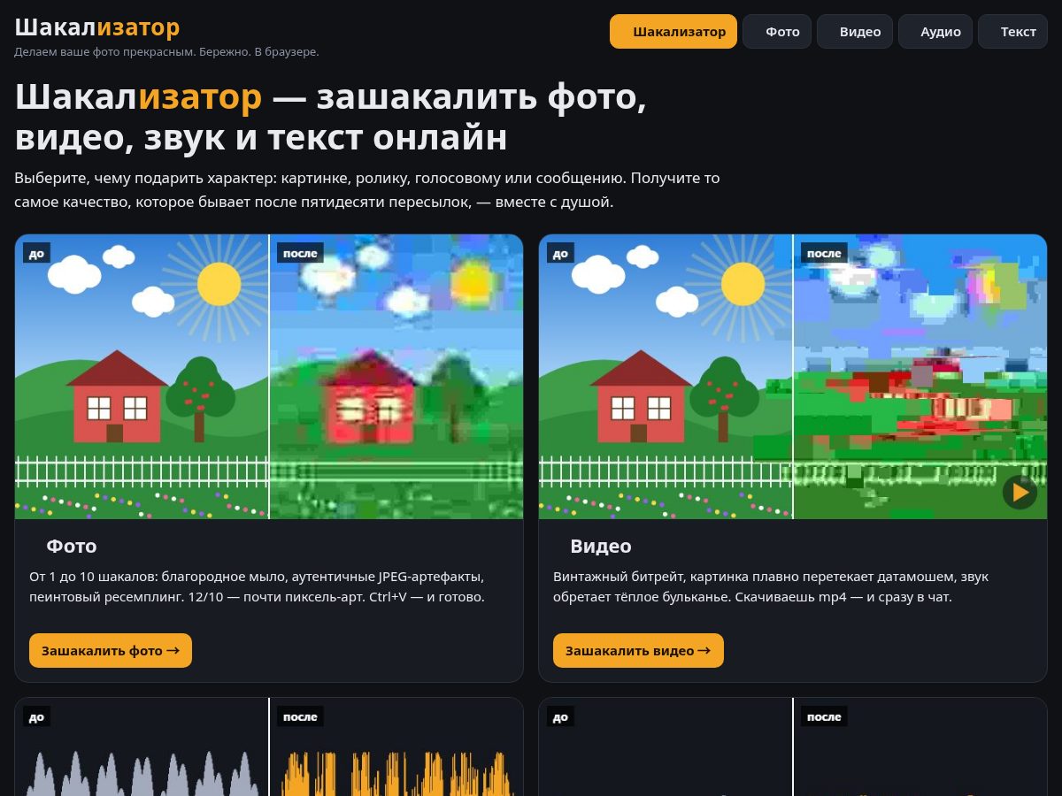 Landing-page snapshot of shakalizator.space