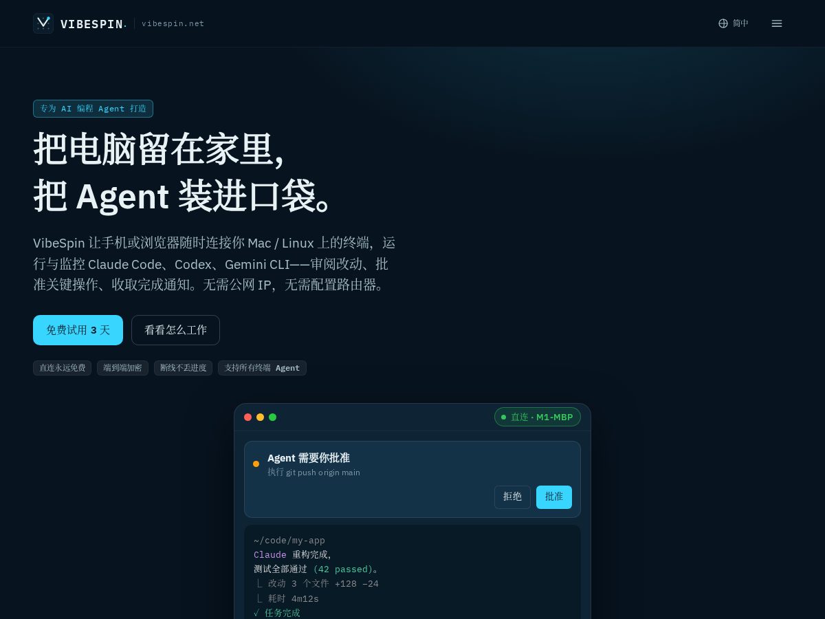 Landing-page snapshot of vibespin.net