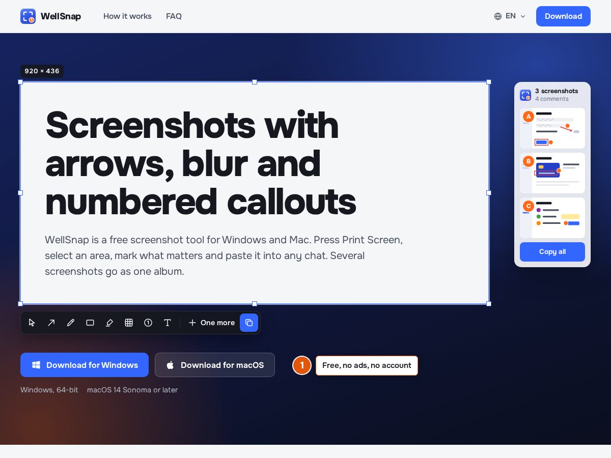 Landing-page snapshot of wellsnap.net