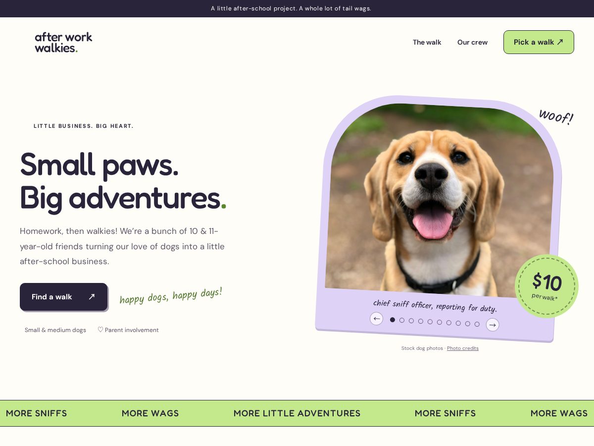 Landing-page snapshot of afterwork-walkies.online