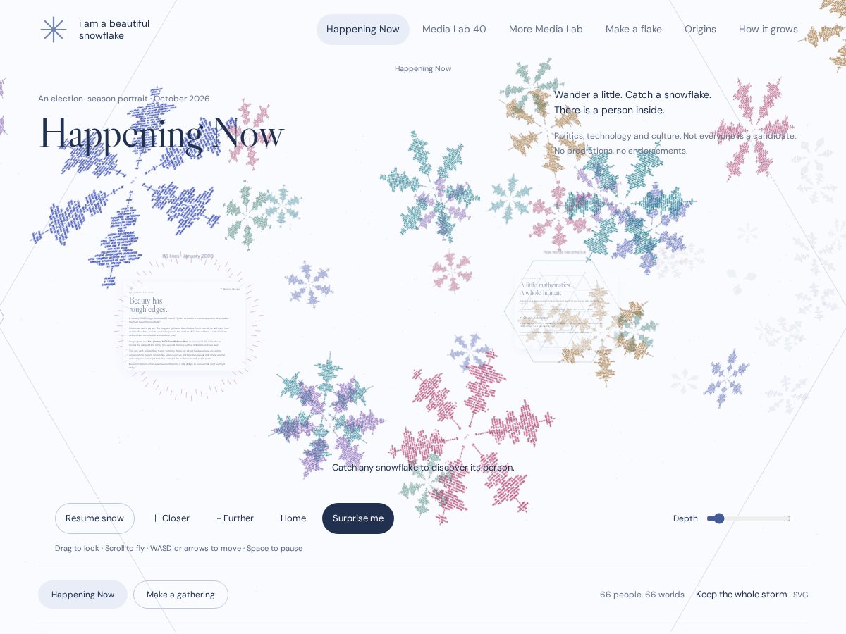 Landing-page snapshot of beautifulsnowflake.art