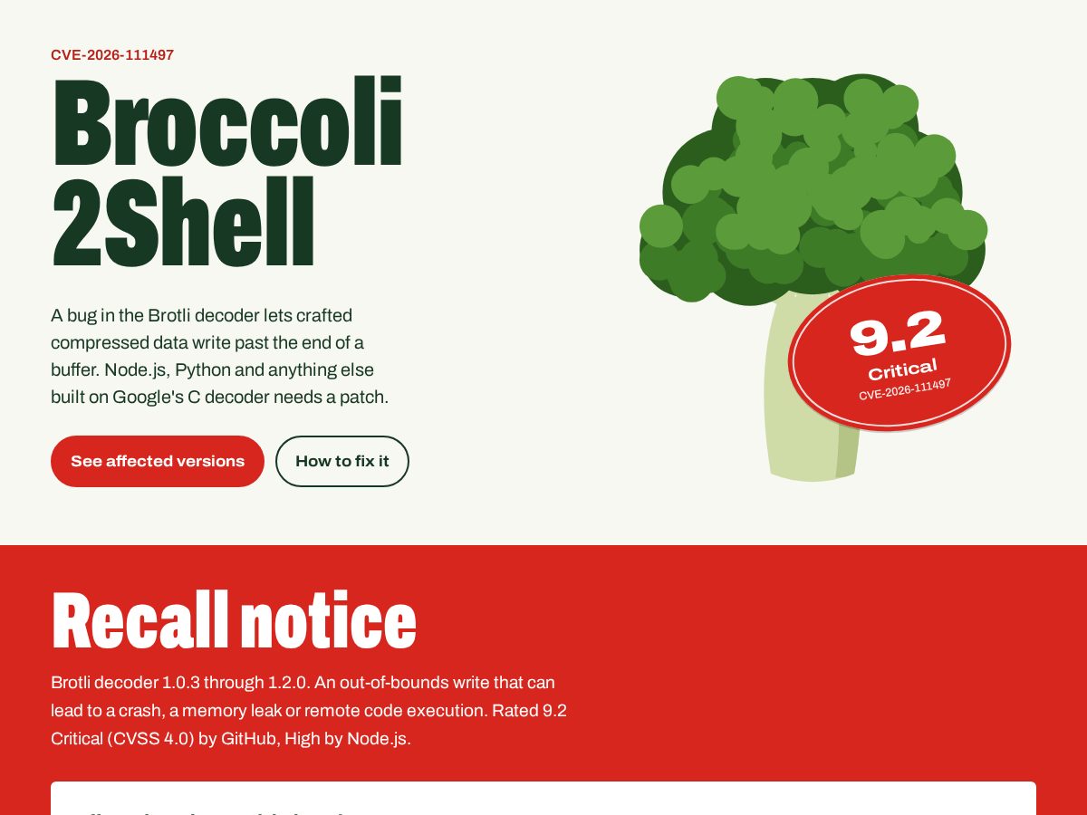 Landing-page snapshot of broccoli2shell.com