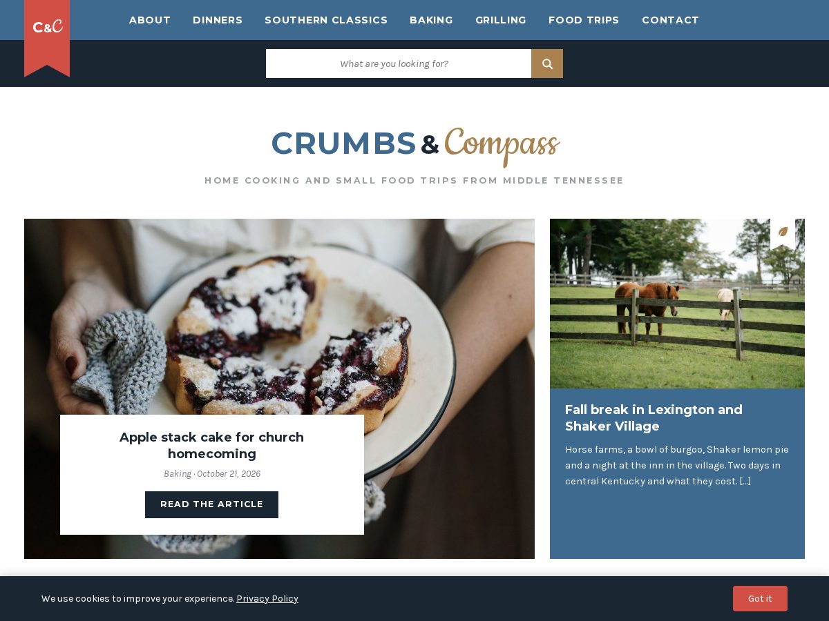 Landing-page snapshot of crumbsandcompass.com