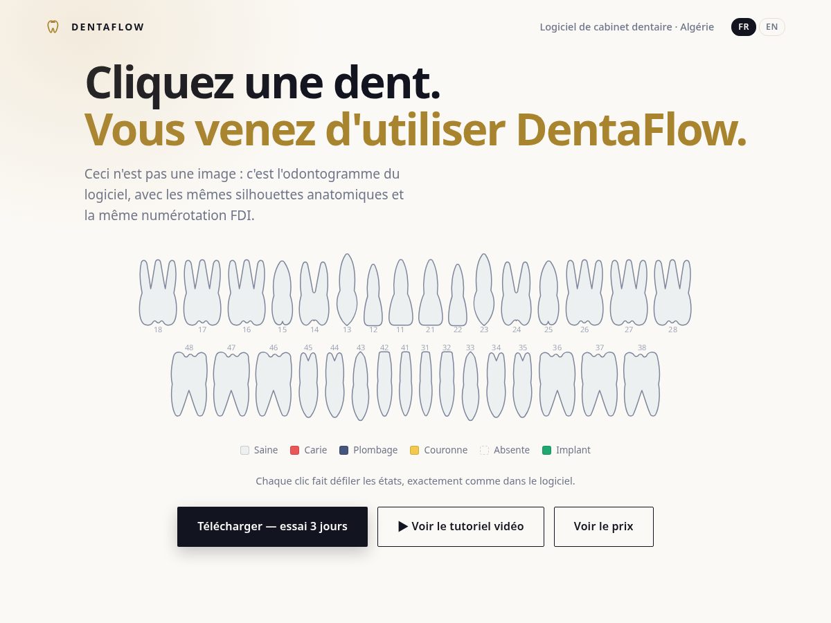 Landing-page snapshot of dentaflow-dz.com