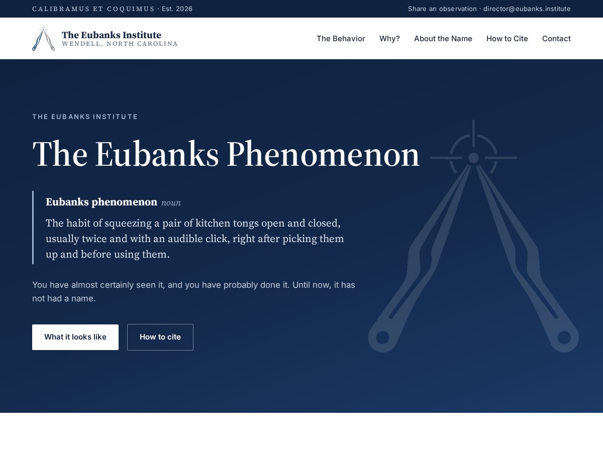 Landing-page snapshot of eubanks.institute