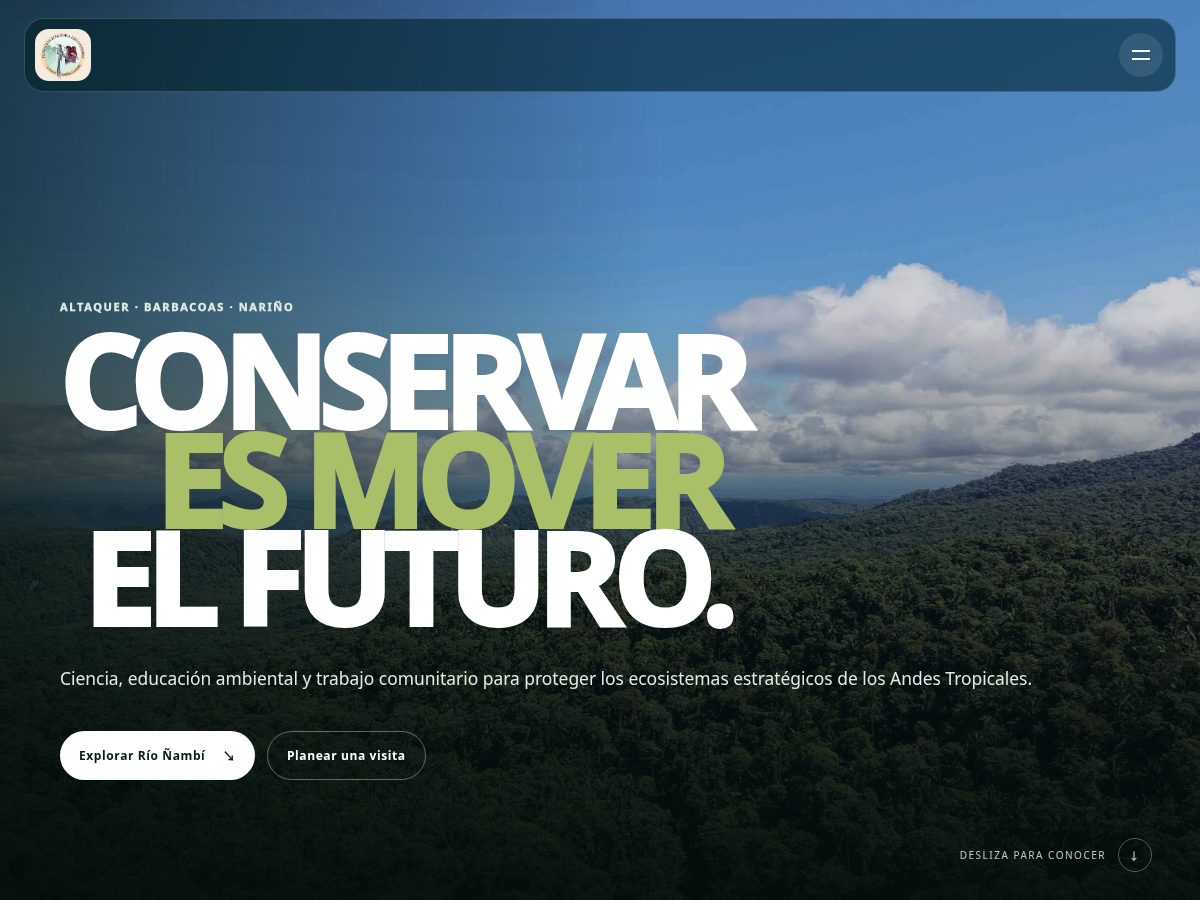 Landing-page snapshot of fundacionfelca.org