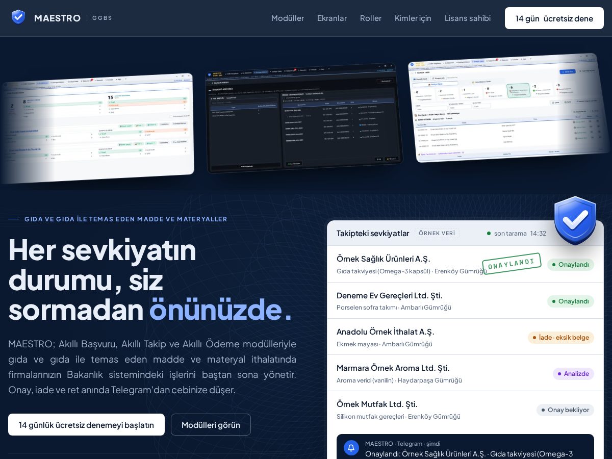 Landing-page snapshot of maestroggbs.com