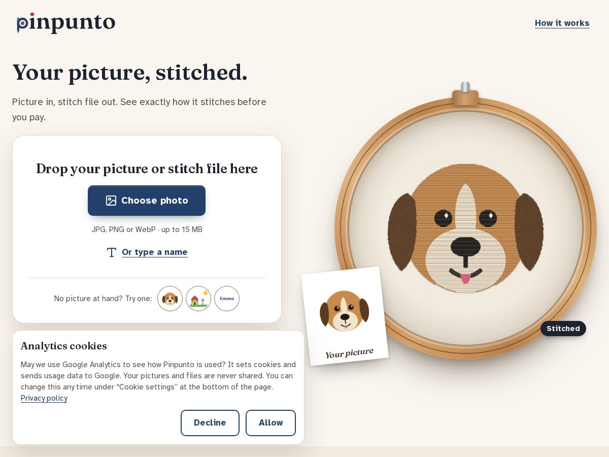 Landing-page snapshot of pinpunto.com