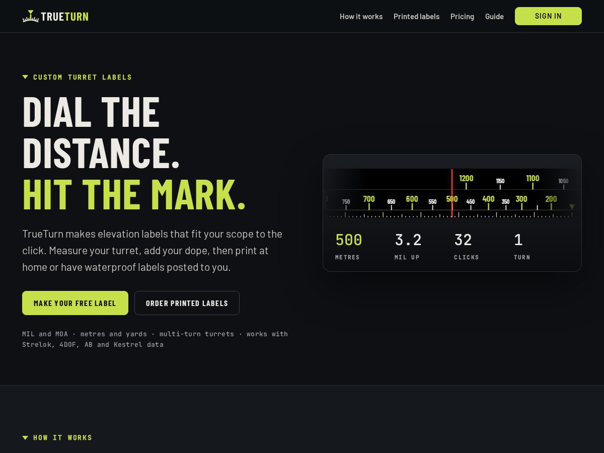 Landing-page snapshot of trueturn.online