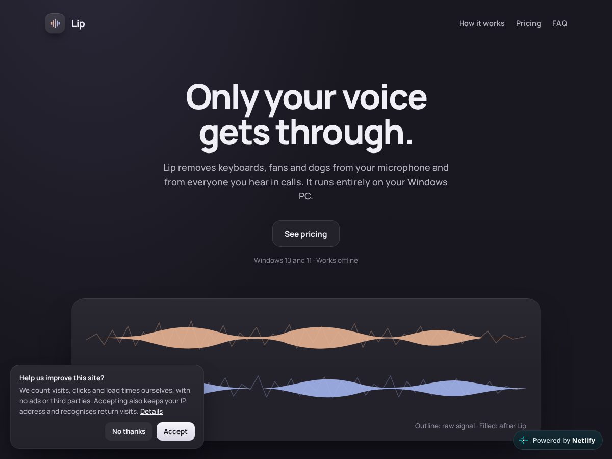 Landing-page snapshot of uselip.com