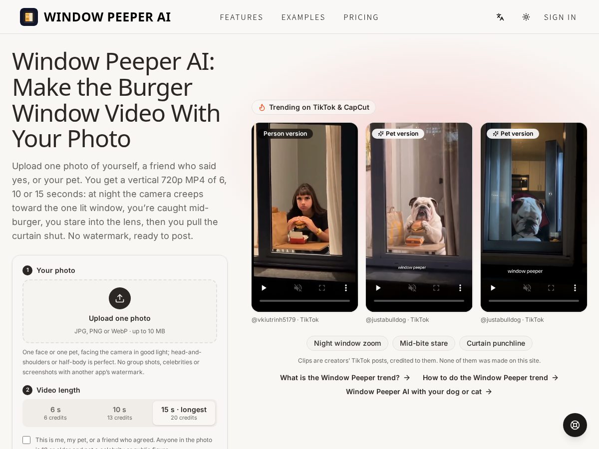 Landing-page snapshot of window-peeper.com