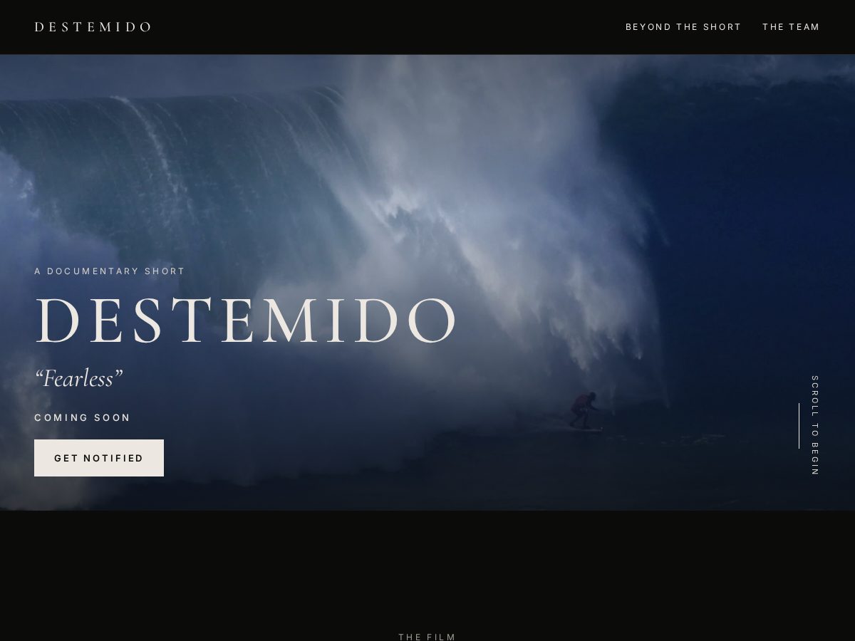 Landing-page snapshot of destemidofilm.com