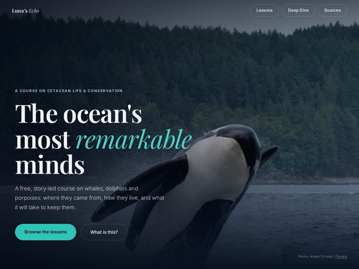 Landing-page snapshot of lunasecho.com