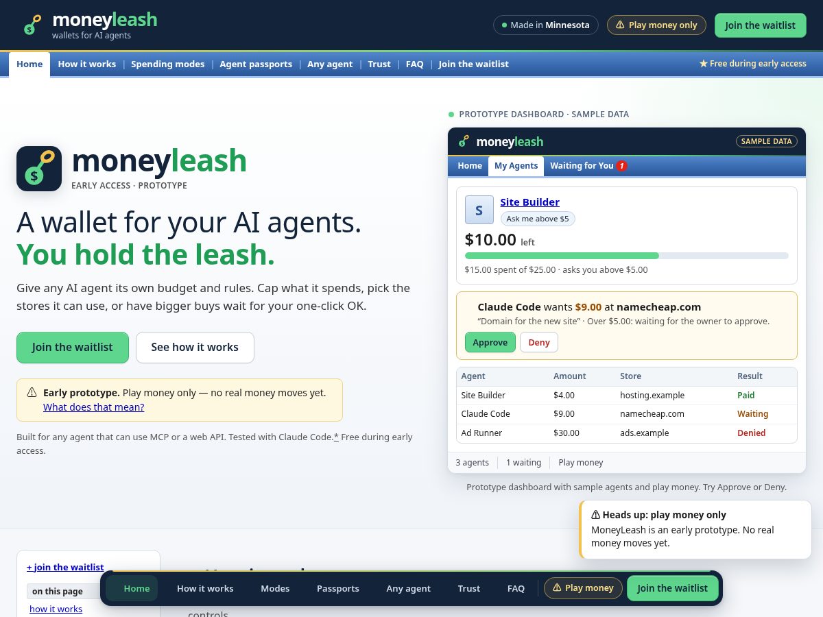 Landing-page snapshot of moneyleash.com