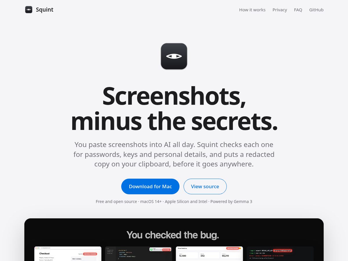 Landing-page snapshot of mysquint.tech