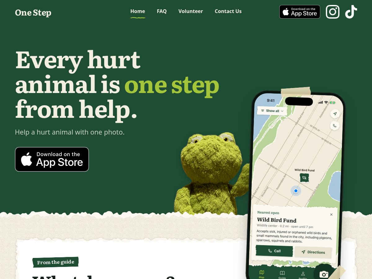 Landing-page snapshot of onestepnyc.org