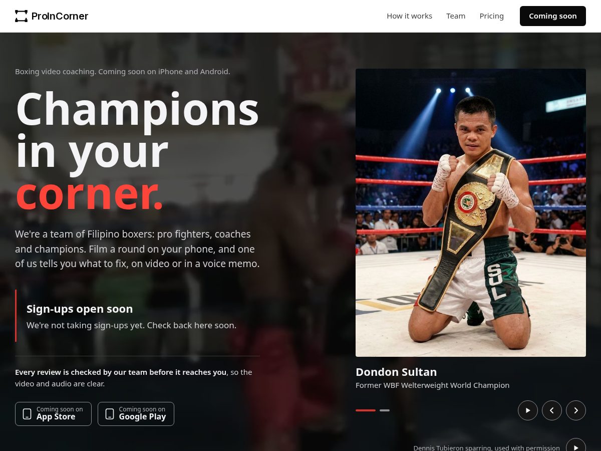 Landing-page snapshot of proincorner.com
