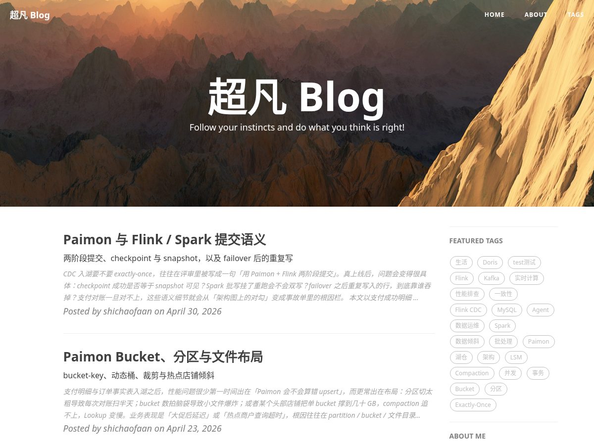 Landing-page snapshot of shichaofan.online