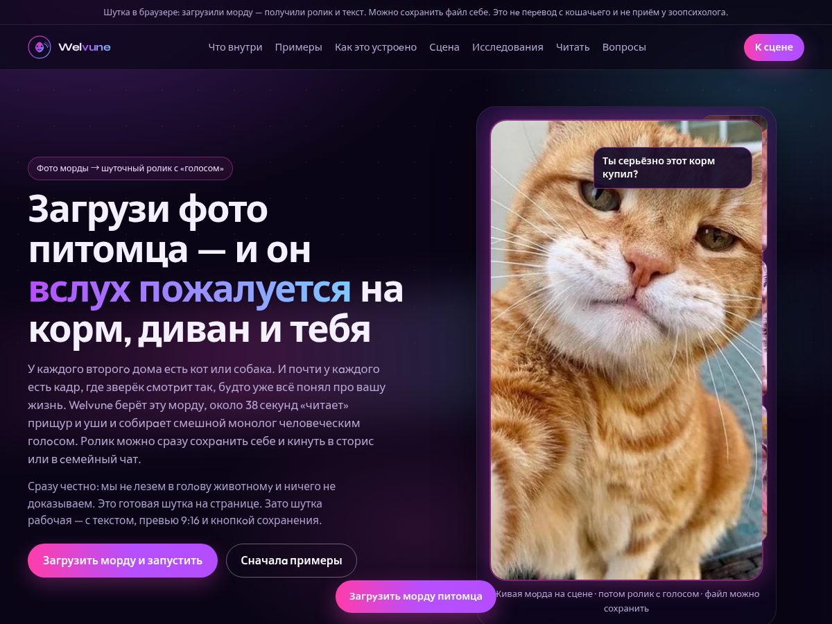 Landing-page snapshot of welvune.tech