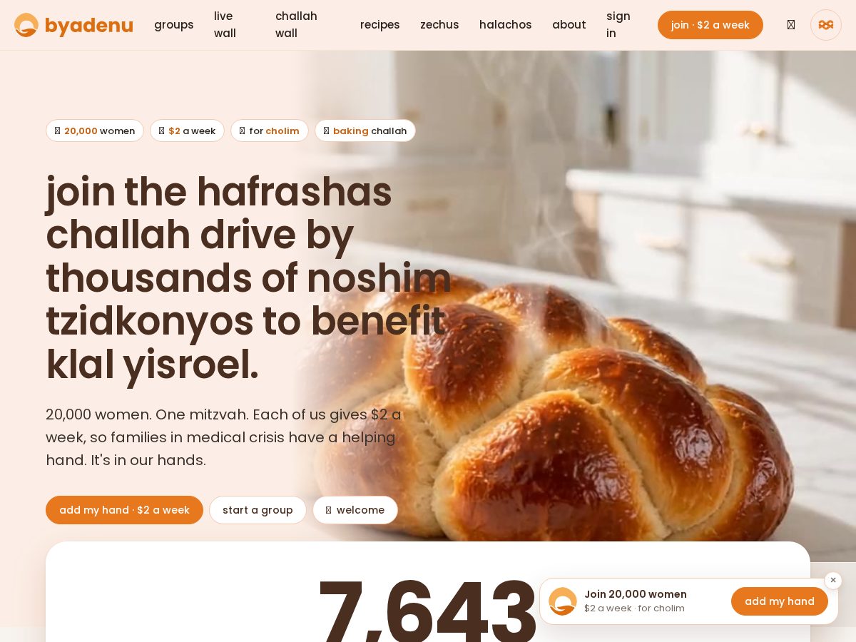 Landing-page snapshot of byadeinu.org