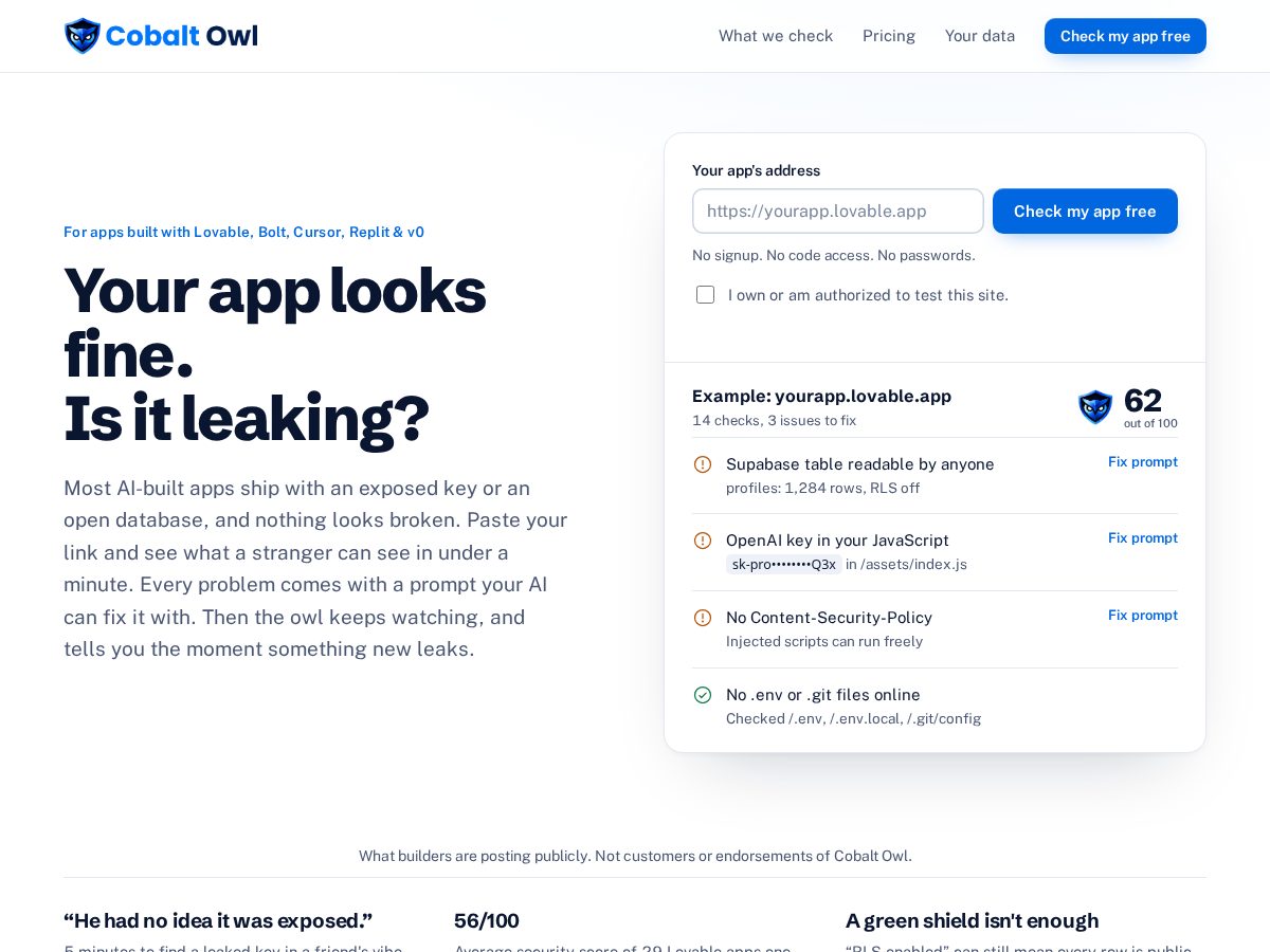 Landing-page snapshot of cobaltowl.dev