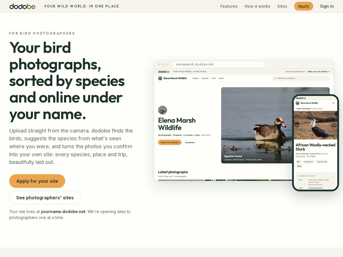 Landing-page snapshot of dodobe.net