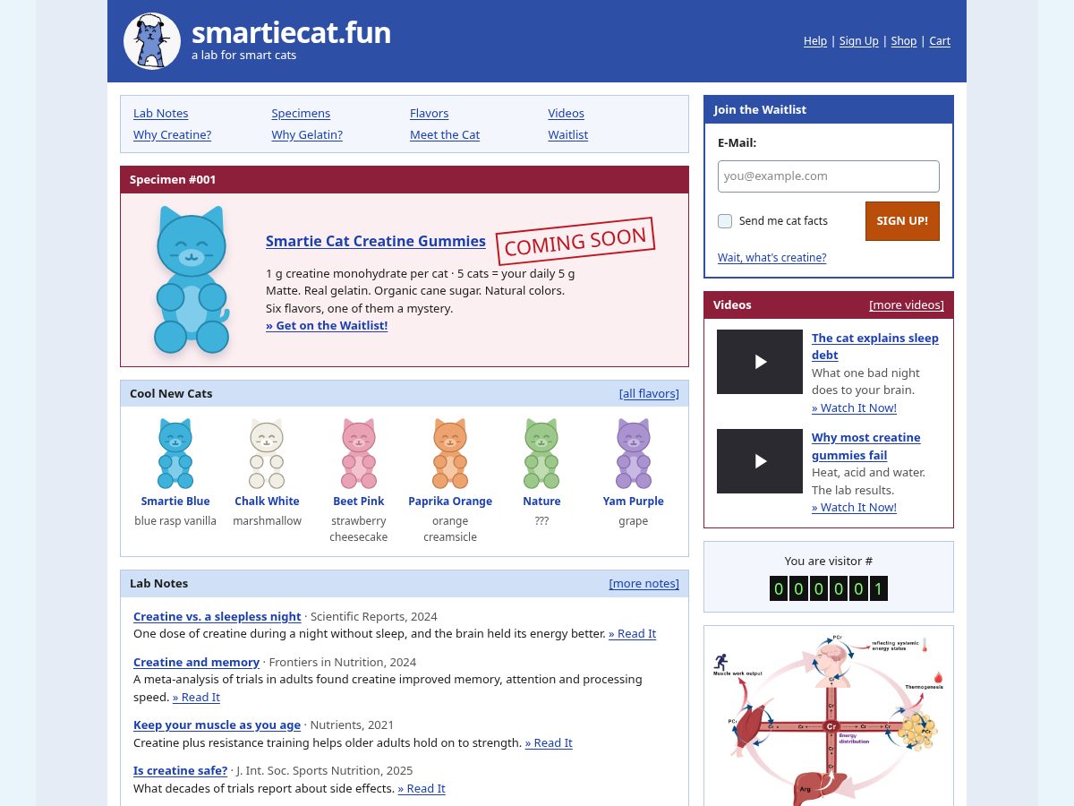 Landing-page snapshot of smartiecat.fun