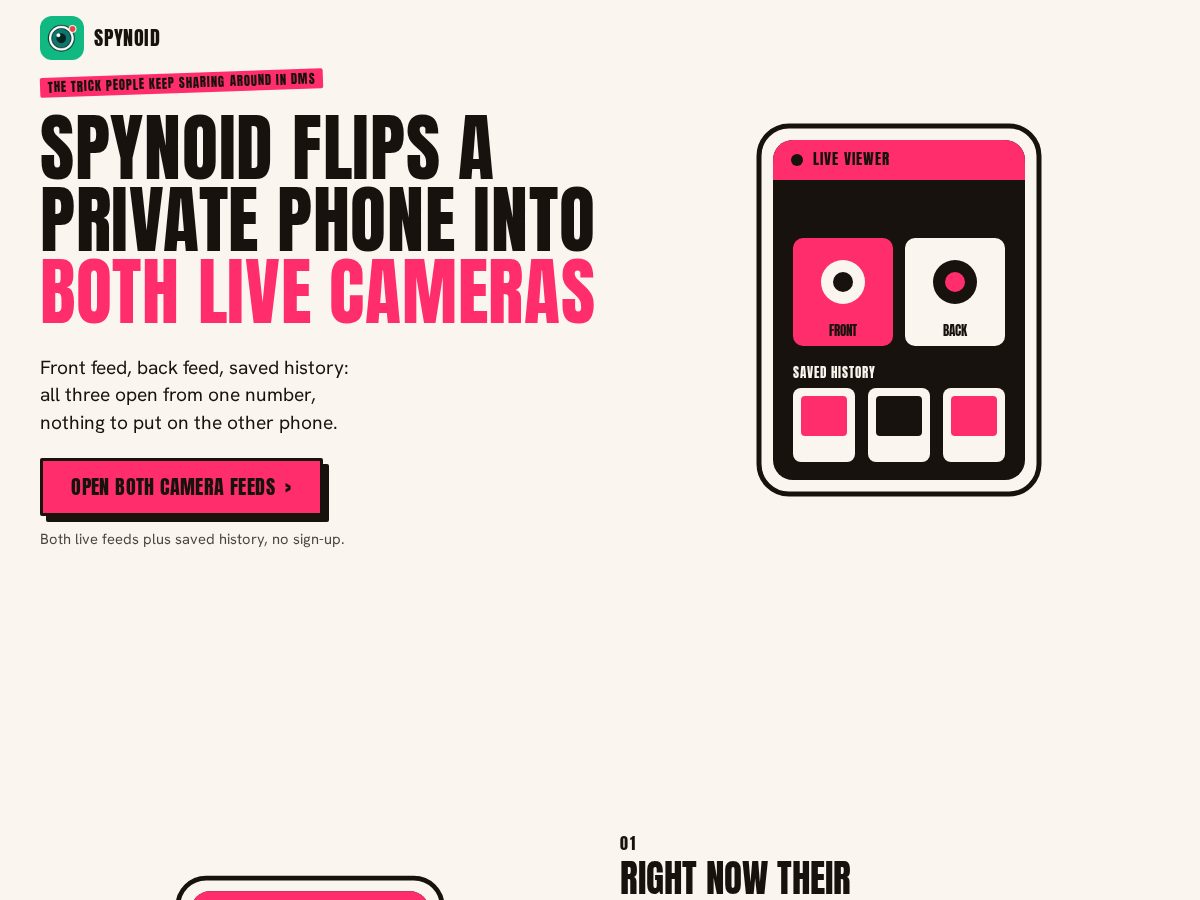 Landing-page snapshot of spynoid.fun
