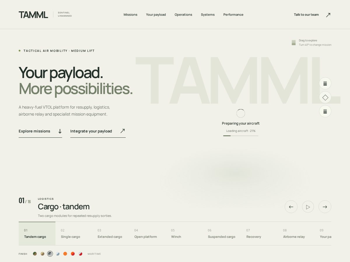 Landing-page snapshot of tamml.info