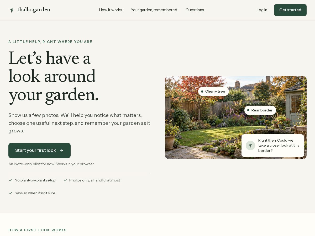 Landing-page snapshot of thallo.garden