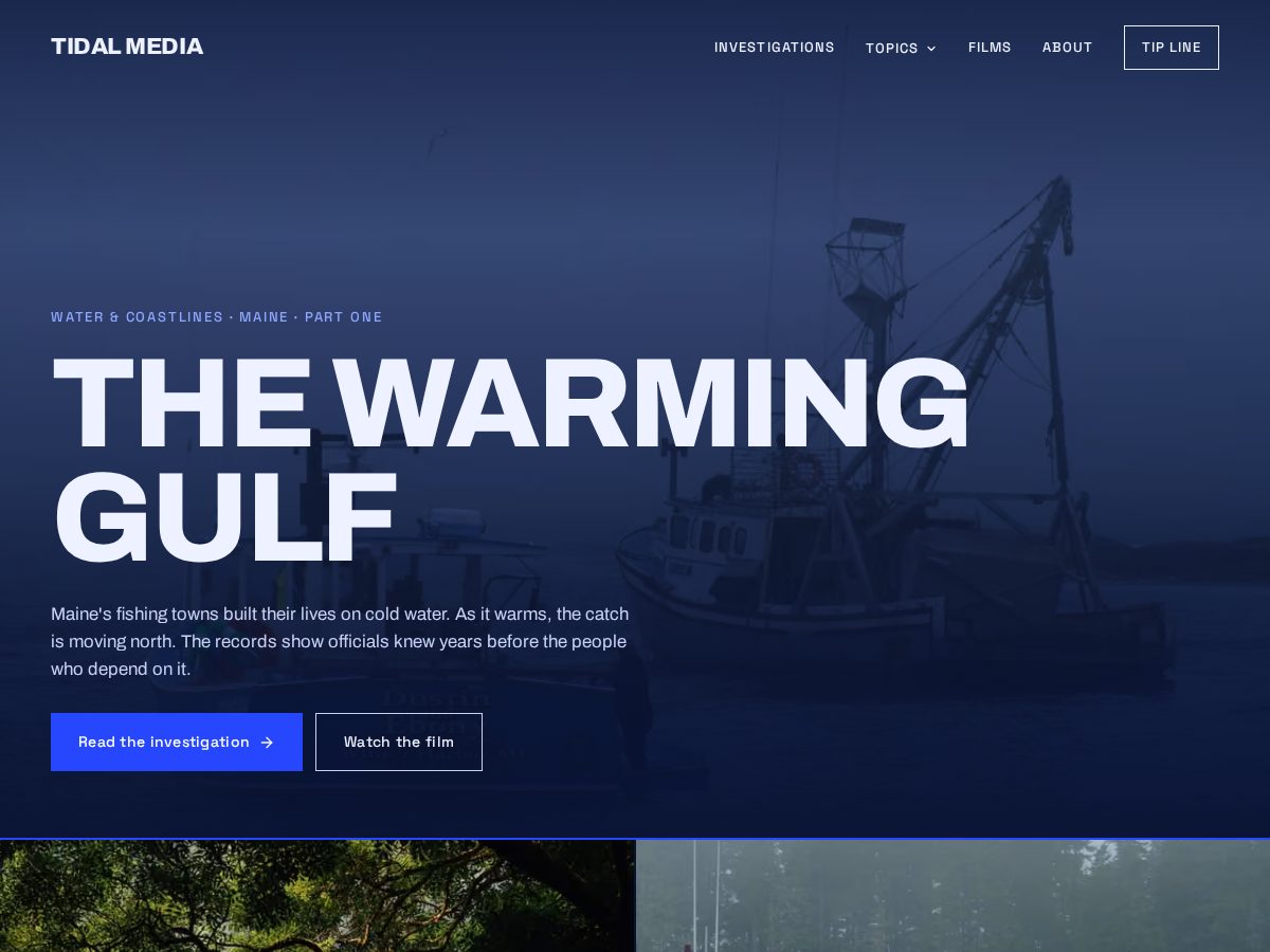 Landing-page snapshot of tidalmedia.org