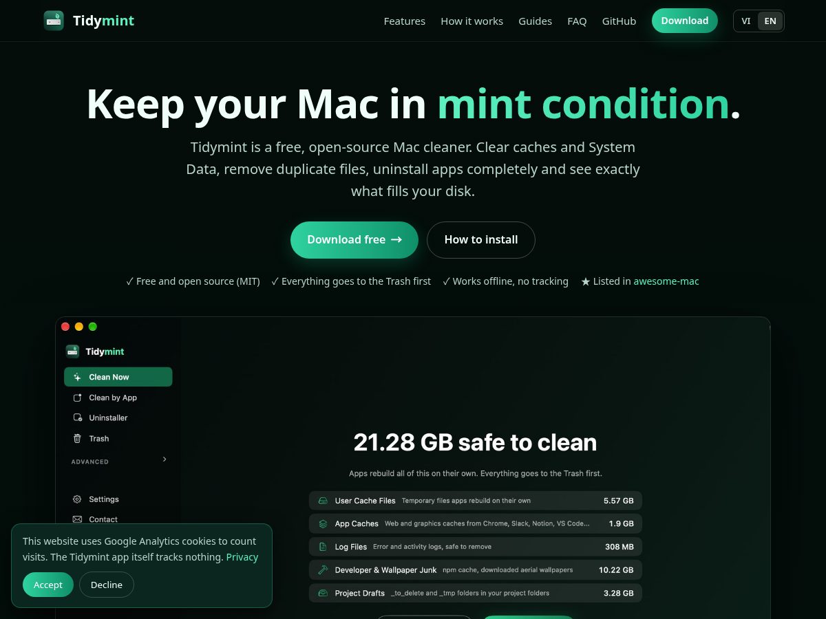 Landing-page snapshot of tidymint.app
