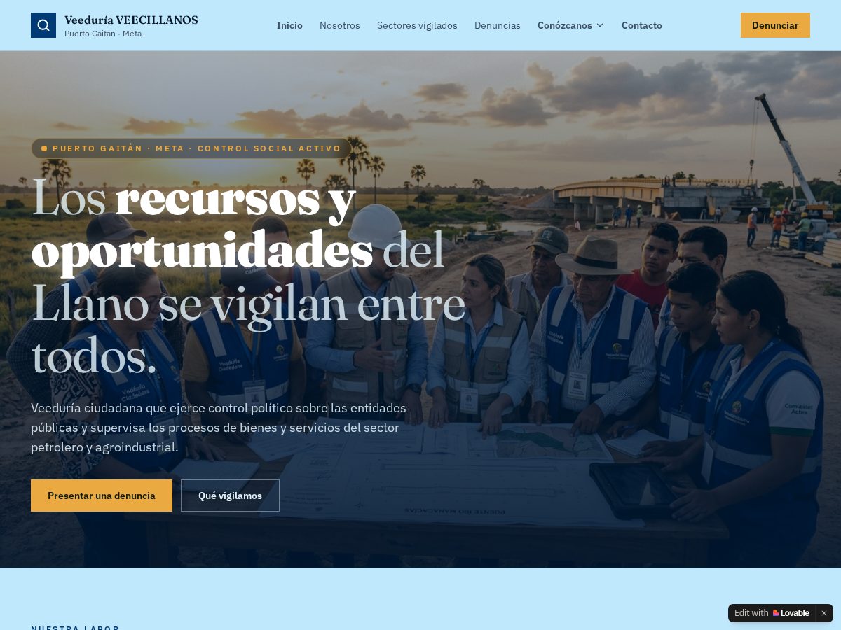 Landing-page snapshot of veecillanos.org