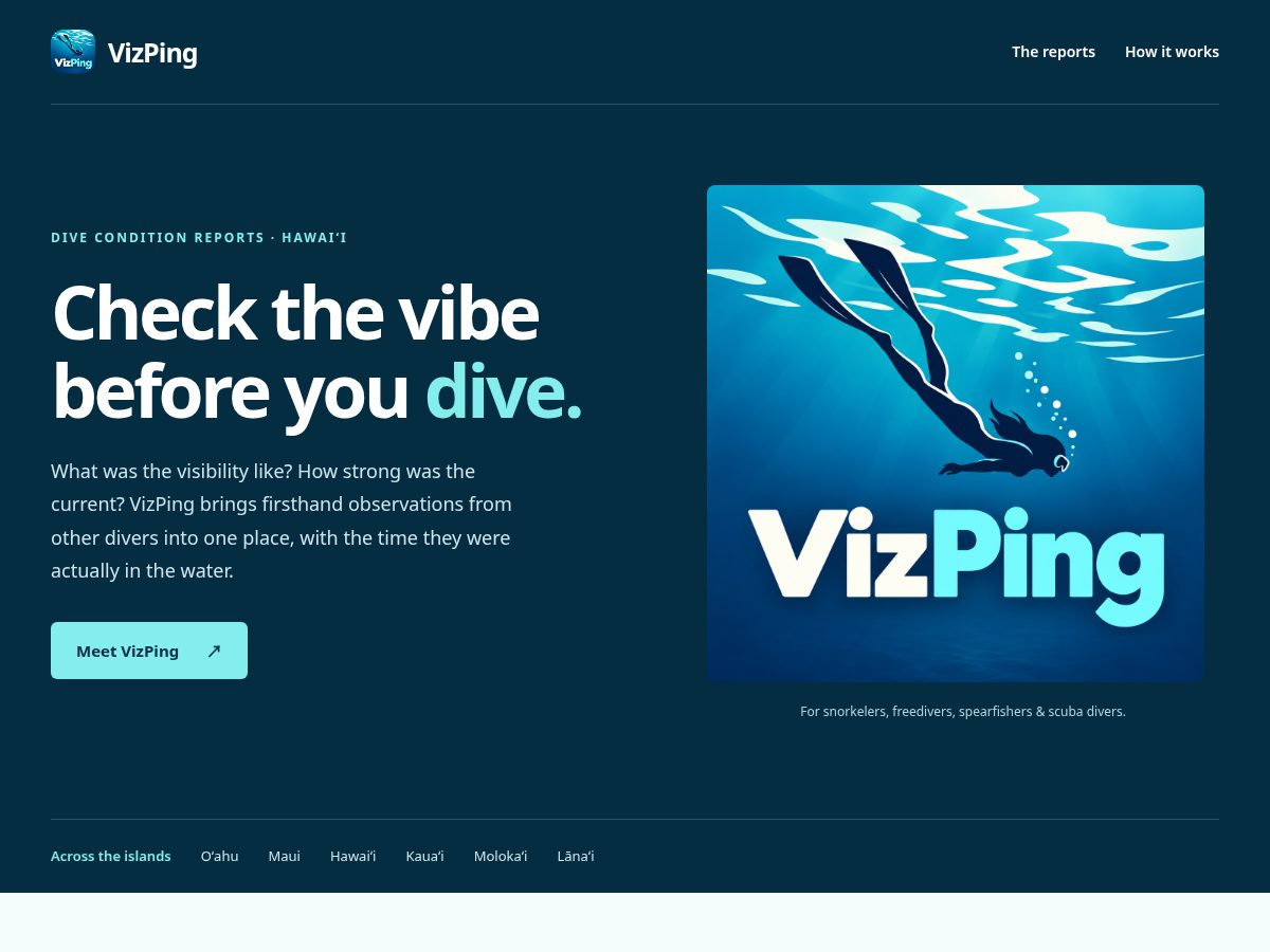 Landing-page snapshot of vizping.app