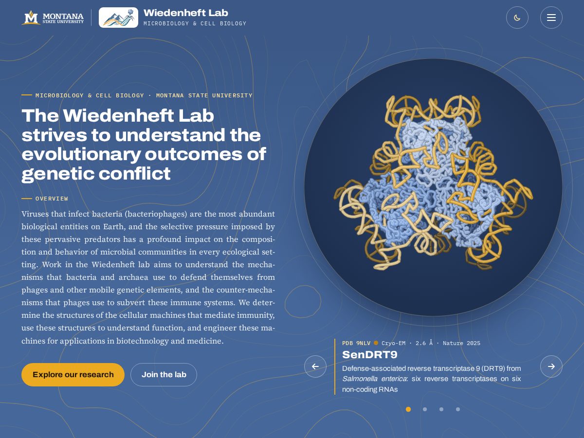 Landing-page snapshot of wiedenheftlab.org