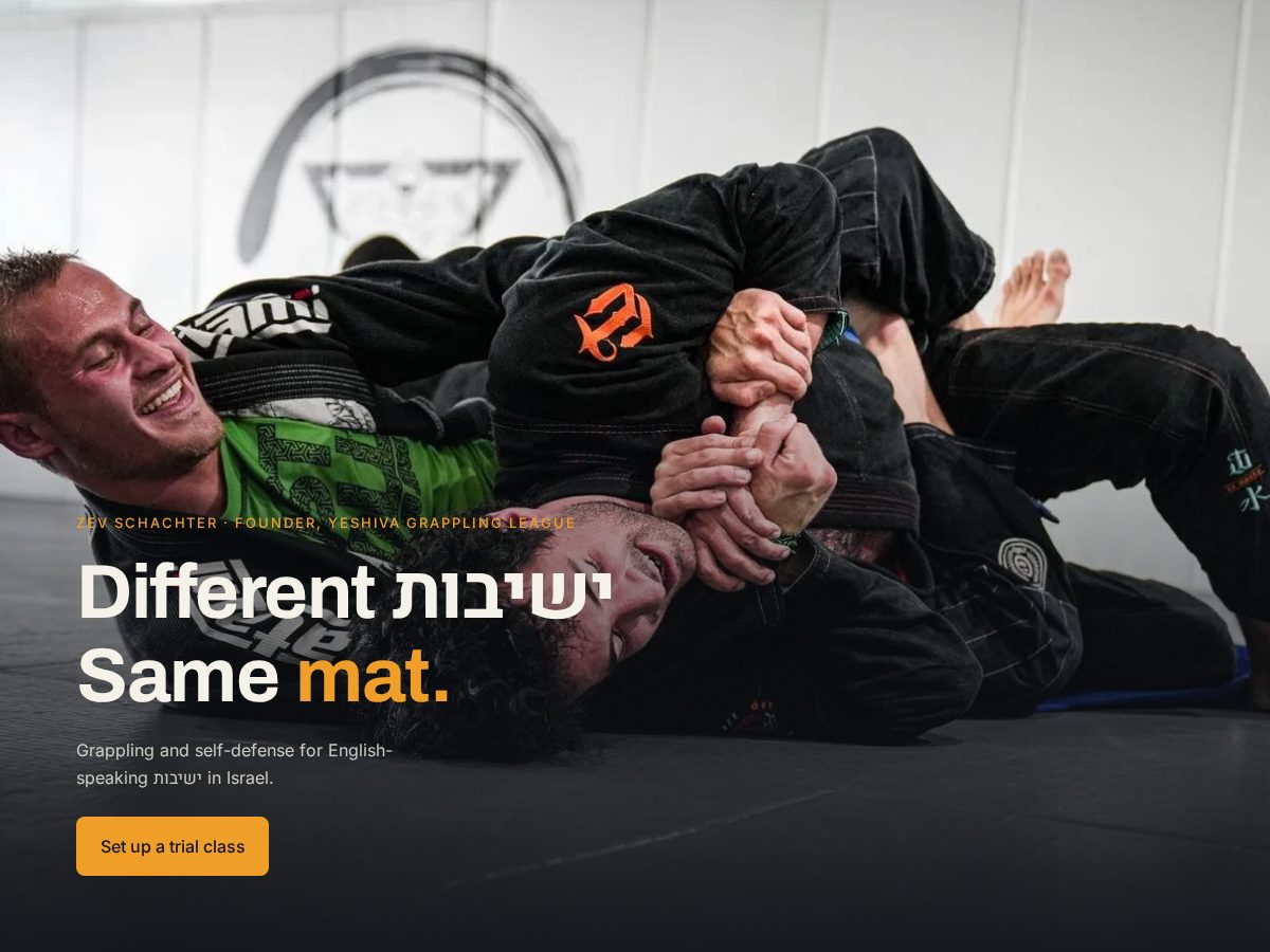 Landing-page snapshot of ygl.info