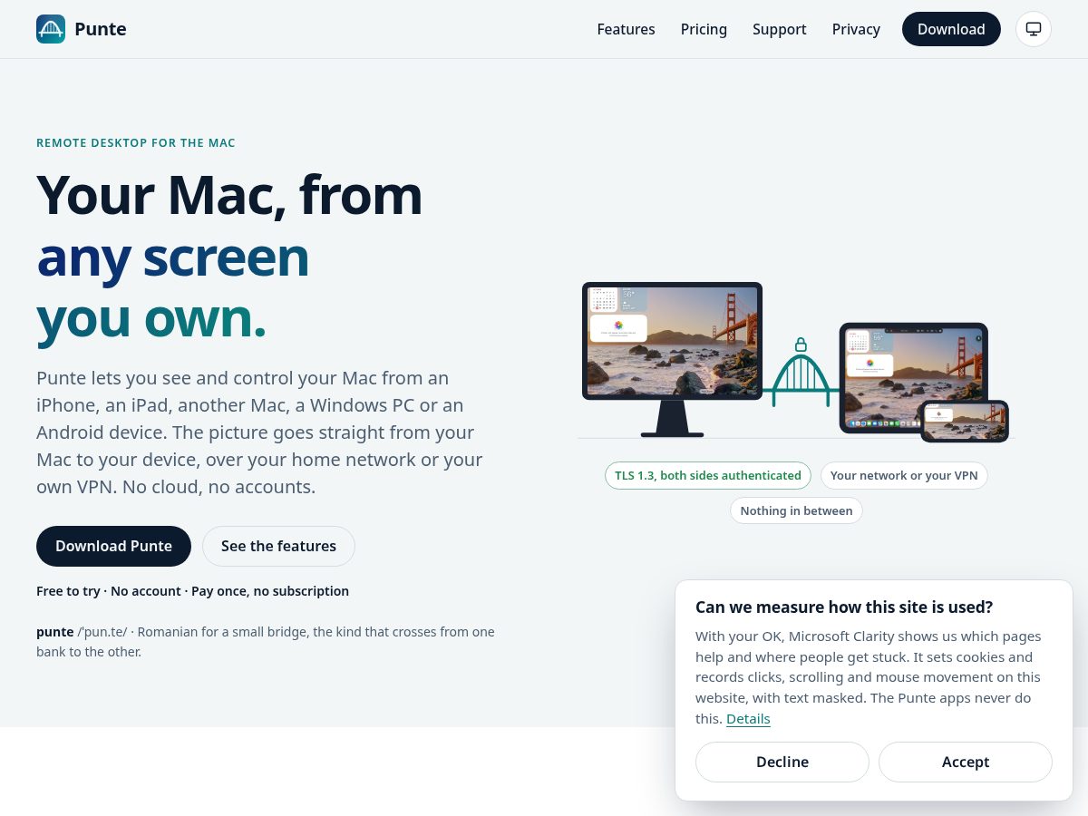 Landing-page snapshot of getpunte.com