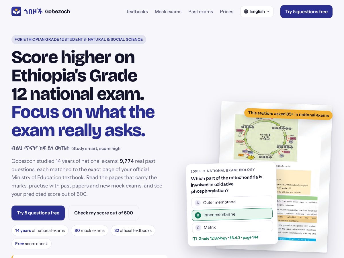 Landing-page snapshot of gobezoch.com