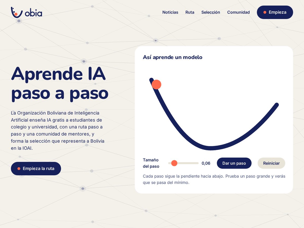 Landing-page snapshot of iabolivia.org