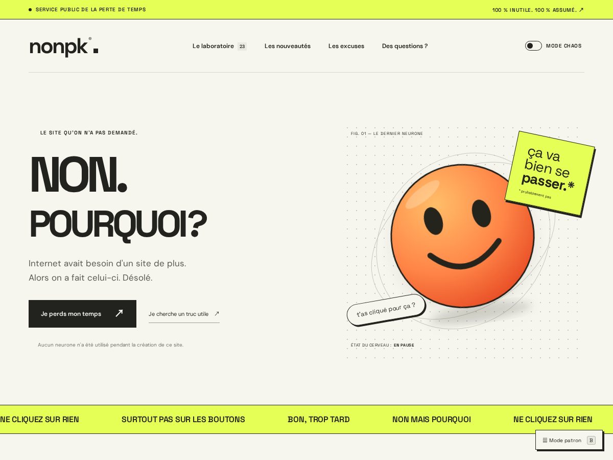 Landing-page snapshot of nonpk.com