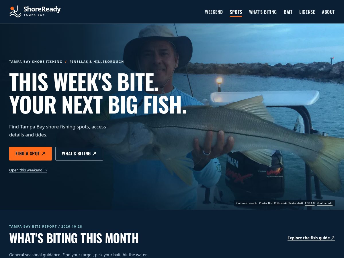 Landing-page snapshot of shorereadytampa.com