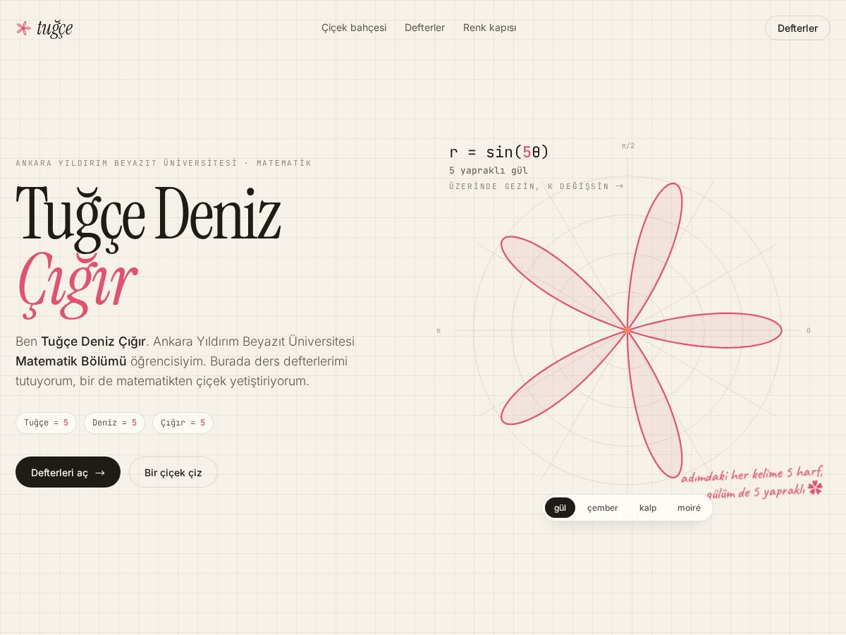 Landing-page snapshot of tugcedenizcigir.com