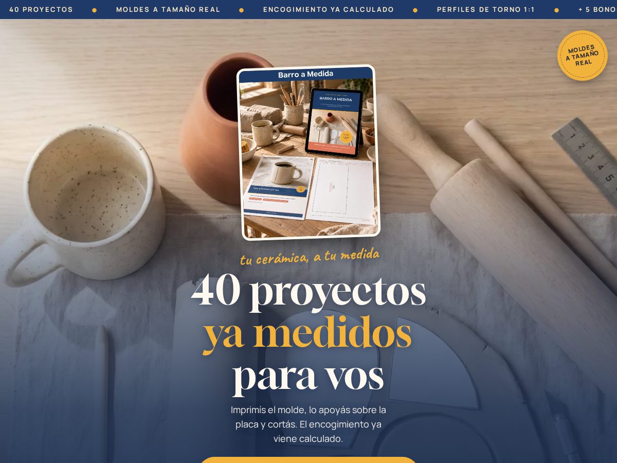 Landing-page snapshot of barroamedida.store