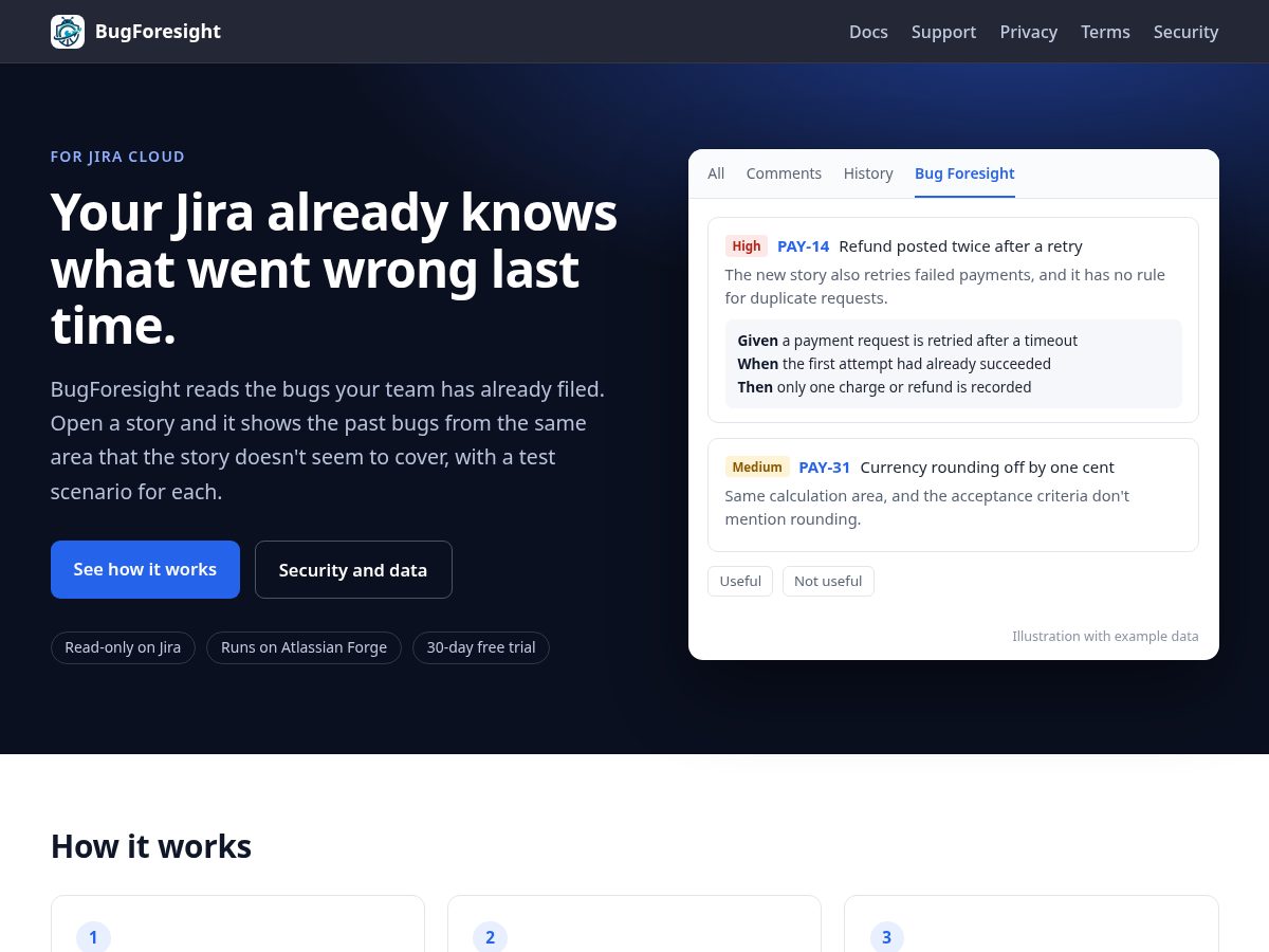 Landing-page snapshot of bugforesight.xyz