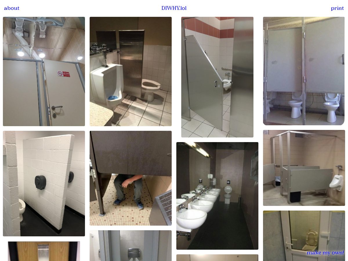 Landing-page snapshot of diwhy.lol