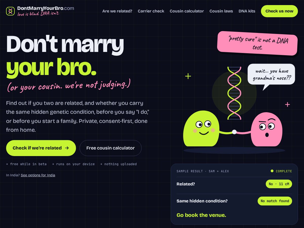 Landing-page snapshot of dontmarryyourbro.com